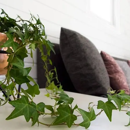 Caloroczny Nad Morzem Baltica * Stegna (Pomerania)