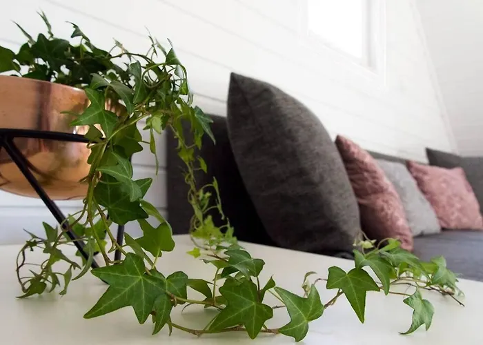 Caloroczny Nad Morzem Baltica * Stegna (Pomerania)